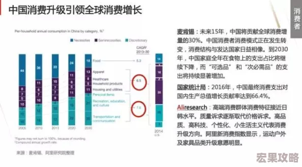 大侠立志传：高效提升鉴定能力策略与升级路径探索