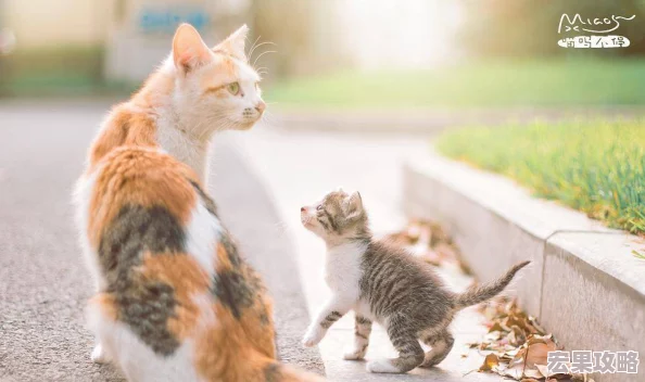 在温馨而充满童趣的纸萌猫乐园里，每一天都洋溢着欢笑与惊喜。作为城市中的一抹独特风景线，我们不仅是一个让孩子们尽情玩耍、释放天性的梦幻空间，更是大人们找回童心、享受亲子时光的绝佳去处。为了持续营造这份独一无二的欢乐氛围，并确保每位乐园的小客人都能得到最贴心、专业的服务体验，我们现面向社会广开才路，诚邀热爱儿童事业、富有创意与爱心的你加入我们的大家庭——成为纸萌猫乐园的店员！