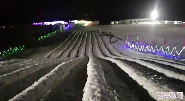 滑雪大冒险2特技攻略，掌握技巧，畅享滑行跳跃与高分挑战