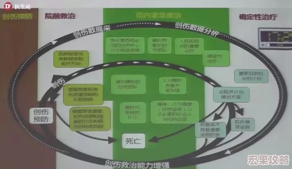 三角洲行动药品使用指南，安全、有效与合规性并重