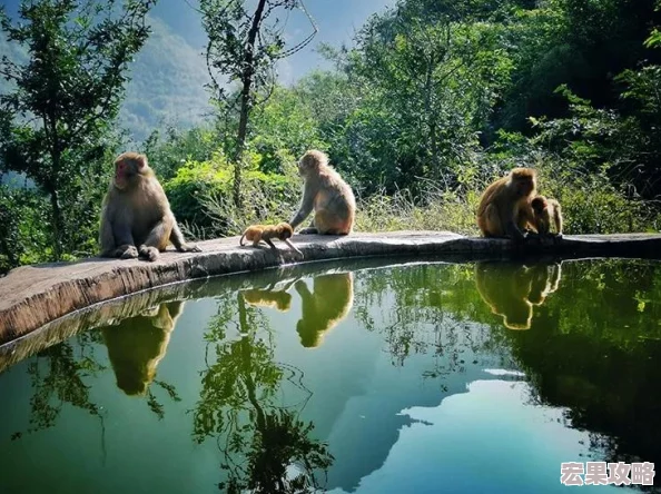 在中国传统文化与自然景观中，丹顶鹤以其高雅的姿态、纯洁的羽毛以及头顶那抹鲜艳的红色而备受推崇，被誉为仙鹤，象征着吉祥与长寿。这独特的红色标记不仅为丹顶鹤增添了几分神秘与魅力，也引发了人们对其成因的好奇与探索。事实上，丹顶鹤头顶上的那一抹红，并非来自某种特殊的装饰或色素沉积，而是其头部皮肤下密布的微细血管所呈现出的自然色彩——毛细血管的颜色。