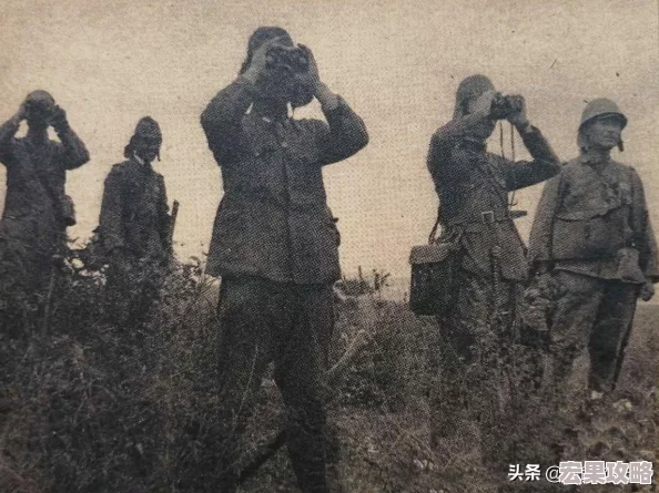 机甲前线激战：顶级机甲战力排行与强势机型推荐