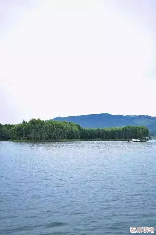 烟雨江湖高手必备：白鹭武学极致搭配策略与技巧推荐指南