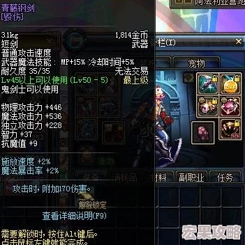 DNF游戏中哪些效果装备更具优势与实用性探讨
